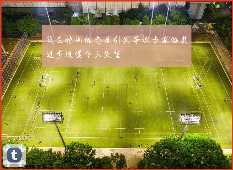 莫兰特训练态度引发争议专家称其进步缓慢令人失望